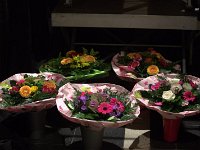 Geiger 16.7.2016 241